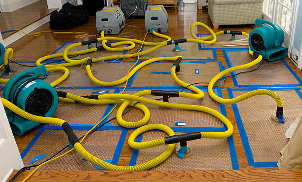 Professional Flood Damage Restoration technician working in Millwood, NY